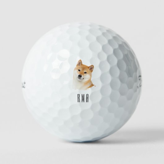 Balles De Golf Shiba Inu (Recto)