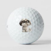 Balles de Golf Shihtzu (Recto)