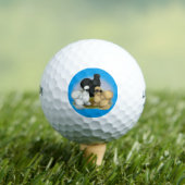 Balles De Golf Silkie Trio (T-shirt Insitu)