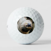 Balles De Golf Sloth 005 (Recto)