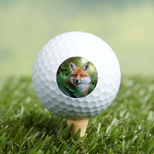 Balles De Golf "Sly : Le renard dans l'ombre" (T-shirt Insitu)