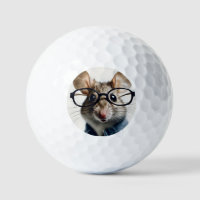Souris de champ Portant des lunettes