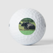 Balles De Golf Sutter Buttes Mountain Range the Bull photo Golf. (Devant)