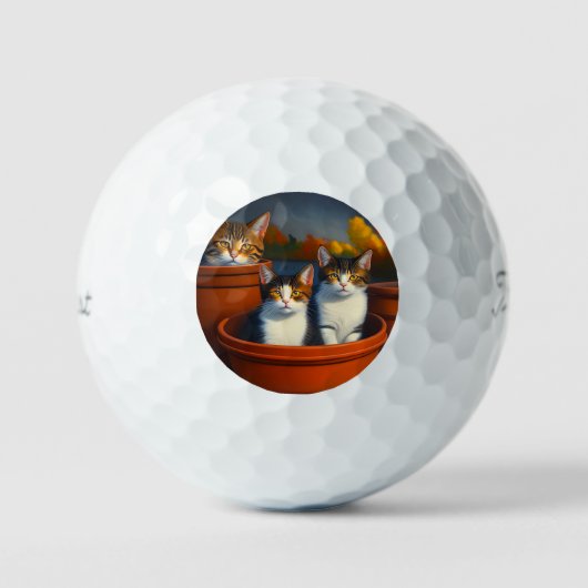 Balles De Golf Tabby Chats En Pots Plantes, Titleist Golf Balls (Recto)