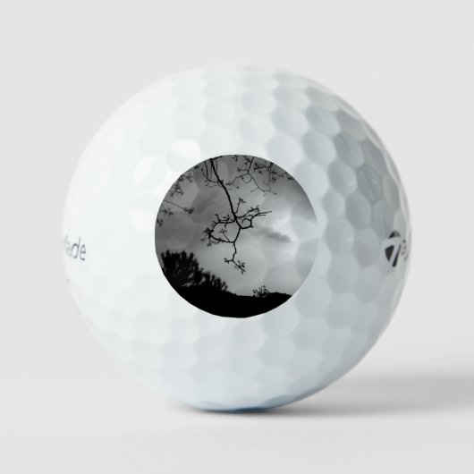 BALLES DE GOLF TAYLOR MADE TP5 (Recto)