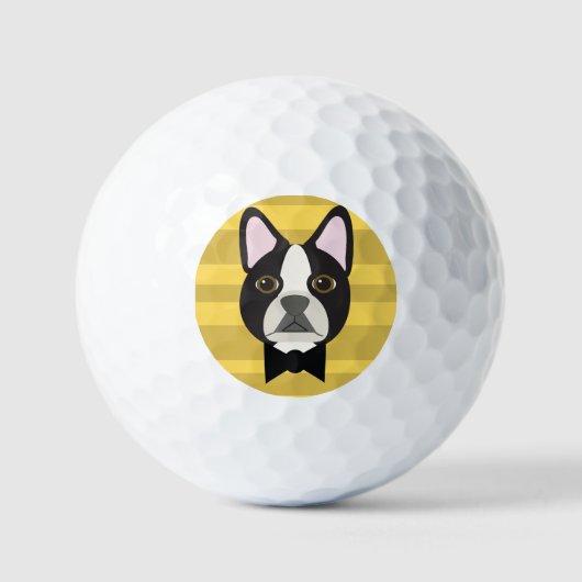 Balles De Golf Terrier de Boston (Recto)