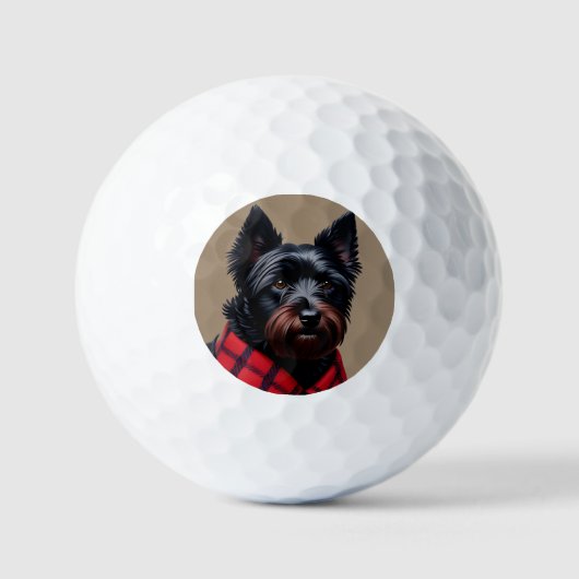 Balles De Golf Terrier Écossais (Recto)