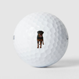 Balles De Golf The Rottweiler