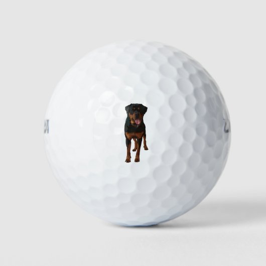 Balles De Golf The Rottweiler (Devant)