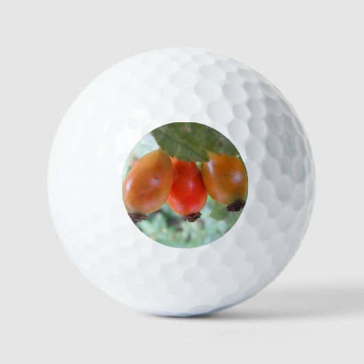 Balles De Golf Three orange rosehips (Recto)