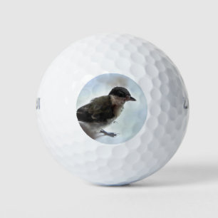 Balles De Golf Tidi my Bird le Parus Major