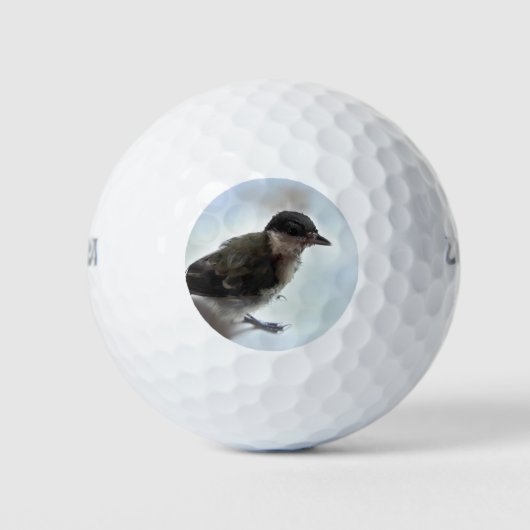 Balles De Golf Tidi my Bird le Parus Major (Devant)