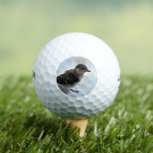 Balles De Golf Tidi my Bird le Parus Major (T-shirt Insitu)