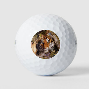 Balles De Golf Tiger Chat Animal Stripes Destinée Motif Destinée