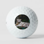Balles De Golf Tigre (Recto)