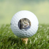 Balles De Golf Tigre (T-shirt Insitu)