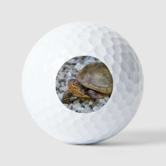 Balles De Golf Tortue (Recto)