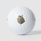 Balles De Golf Tortue minuscule (Tortue) (Devant)