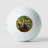 Balles De Golf Trois Mètres Dans Des Pots À Fleurs, (Recto)