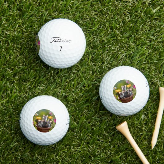 Balles De Golf Trois Mètres Dans Des Pots À Fleurs, (Herbe in situ)