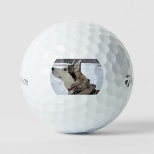Balles De Golf troisième husky sibérien
