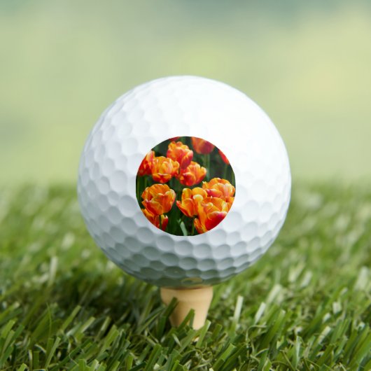 Balles De Golf Tulipes orange vif dans le parc (T-shirt Insitu)
