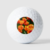 Balles De Golf Tulipes orange vif dans le parc (Recto)