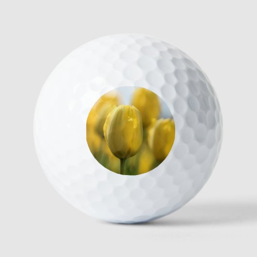 Balles De Golf Tulipes solaires (Recto)