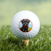 Balles De Golf Un mignon chien noir avec collier rouge en forme d (T-shirt Insitu)
