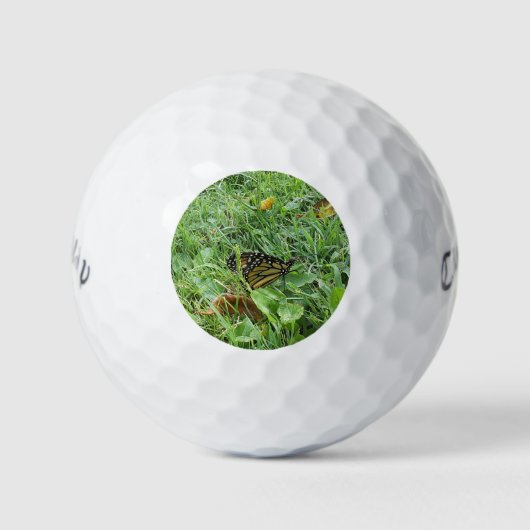 Balles De Golf Un papillon monarque (Devant)