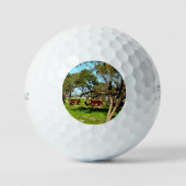 Balles De Golf Vaches Sur La Plage, (Recto)