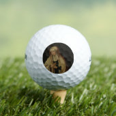 Balles De Golf Vierge Marie voilée (par Lucas van Leyden) (T-shirt Insitu)