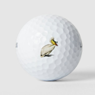 Balles De Golf Vintage pelican bird Illustration