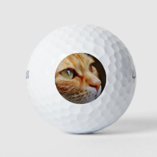 Balles De Golf Visage déterminé d'un chat de gingembre