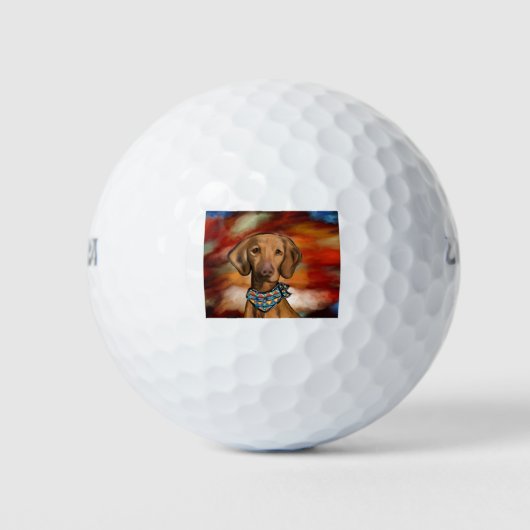 Balles De Golf Vizsla du Sud-Ouest (Devant)