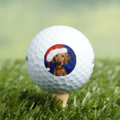 Balles De Golf VIZSLA Noël (T-shirt Insitu)