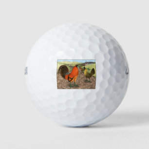 Balles De Golf Volailles de Combat à la Ferme
