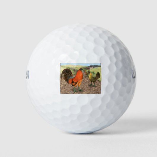 Balles De Golf Volailles de Combat à la Ferme (Devant)