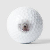 Balles De Golf West Highland Terrier Dog Design (Recto)