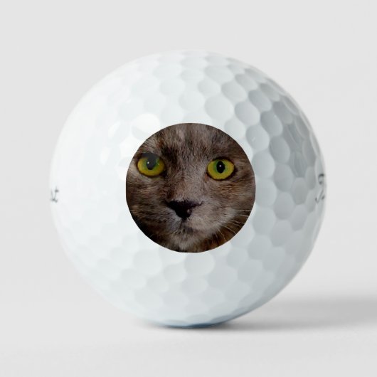 Balles De Golf "Whiskers d'or : un chaton Brown dans la peinture  (Recto)