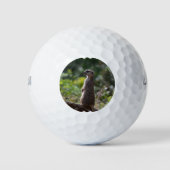 Balles De Golf Wild Meerkat (Devant)