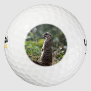 Balles De Golf Wild Meerkat