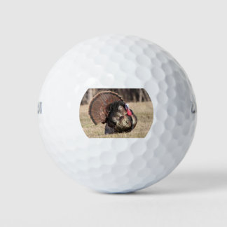 Balles De Golf Wilson Golf Balls avec Tom Turkey