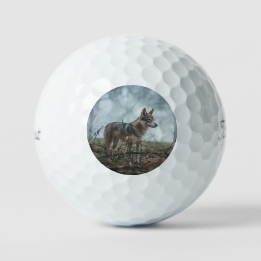 Balles De Golf Wolfdog (Recto)