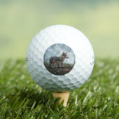 Balles De Golf Wolfdog (T-shirt Insitu)