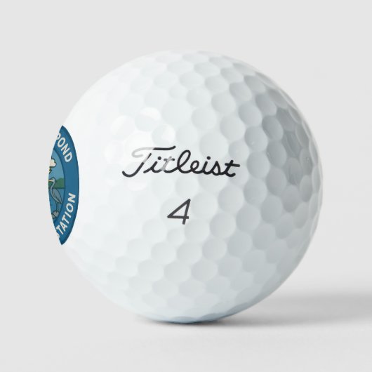Balles De Golf WPWS Titleist Pro V1  (Logo)