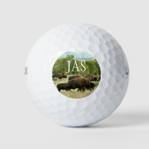Balles De Golf Wyoming Bison Nature Animal Photographie