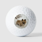 Balles De Golf Yeti (Recto)
