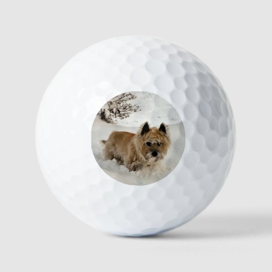 Balles De Golf Yeti (Recto)