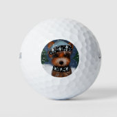 Balles De Golf Yorkie (Devant)